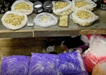 Foram encontrados 2,040 kg de cocaína, além de dois potes contendo uma mistura para preparo da droga, um aparelho celular e diversos apetrechos típicos do tráfico. (Divulgação)