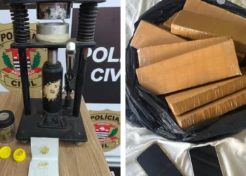 No decorrer da operação, o suspeito preso em Itapetininga foi identificado como o responsável pela extração de óleo de maconha, utilizando uma prensa que foi apreendida. (Dviulgação)