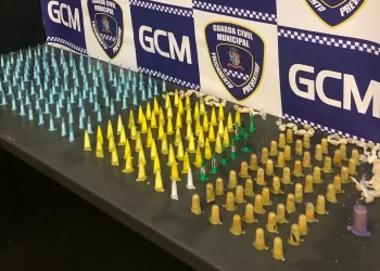A GCM encontrou 132 pinos de cocaína e seis pedras de crack. (Divulgação)