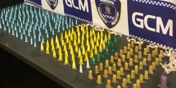 A GCM encontrou 132 pinos de cocaína e seis pedras de crack. (Divulgação)