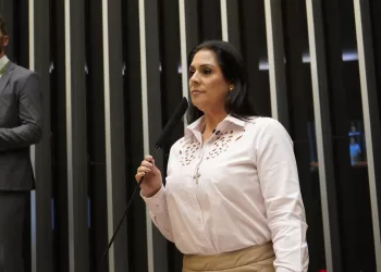 A deputada federal Simone Marquetto (MDB).