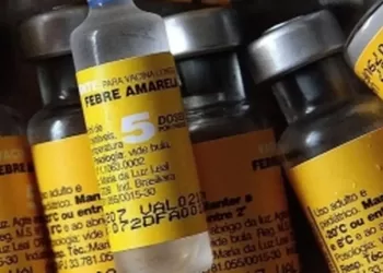 A doença pode ser prevenida por meio de vacina, que está disponível gratuitamente pelo Sistema Único de Saúde (SUS). (AgÊncia Brasil)