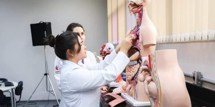 Os cursos de Medicina da USCS funcionam em período integral, com duração de 12 semestres. (Divulgação)