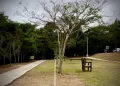A revitalização do espaço foi possível por meio de uma parceria com o Colégio Objetivo. (Divulgação/Prefeitura de Itapetininga)