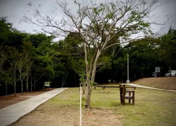 A revitalização do espaço foi possível por meio de uma parceria com o Colégio Objetivo. (Divulgação/Prefeitura de Itapetininga)