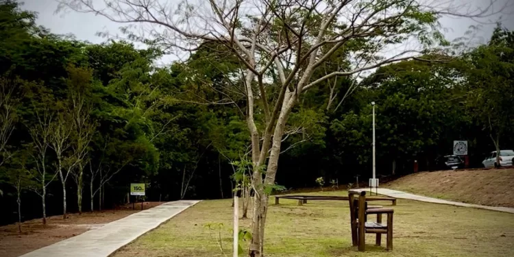 A revitalização do espaço foi possível por meio de uma parceria com o Colégio Objetivo. (Divulgação/Prefeitura de Itapetininga)