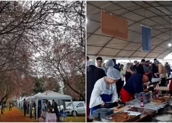 Festa da Cerejeira reúne milhares de pessoas em Itapetininga (SP) — Foto: NisshinDaiko/Divulgação