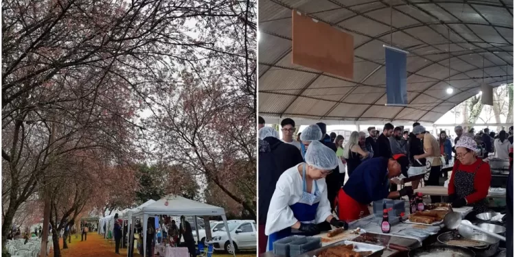 Festa da Cerejeira reúne milhares de pessoas em Itapetininga (SP) — Foto: NisshinDaiko/Divulgação