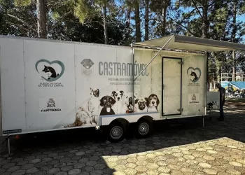 O programa tem como objetivo controlar a população de animais e promover a saúde pública, levando o atendimento até os bairros da cidade. (Divulgação)