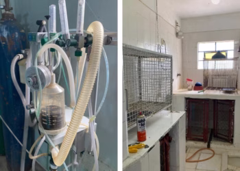 Durante o cumprimento do mandado de busca e apreensão, a Polícia Civil localizou diversos animais em situação de maus-tratos, além de medicamentos vencidos, tanto de uso veterinário quanto humano, armazenados de forma irregular. (Divulgação)