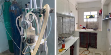 Durante o cumprimento do mandado de busca e apreensão, a Polícia Civil localizou diversos animais em situação de maus-tratos, além de medicamentos vencidos, tanto de uso veterinário quanto humano, armazenados de forma irregular. (Divulgação)