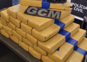 Na casa, foram localizados 26 tijolos de maconha. (Divulgação/Guarda Municipal de Itapetininga)