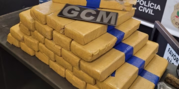 Na casa, foram localizados 26 tijolos de maconha. (Divulgação/Guarda Municipal de Itapetininga)