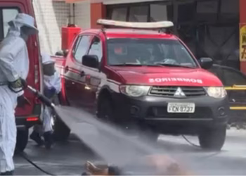 Com a chegada da equipe especializada do Corpo de Bombeiros e expulsão de parte do enxame, a vítima pode ser atendida pelos Bombeiros e Samu, mas ela, infelizmente, não resistiu ao ataque e veio a óbito. (Reprodução/Redes Sociais)