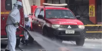 Com a chegada da equipe especializada do Corpo de Bombeiros e expulsão de parte do enxame, a vítima pode ser atendida pelos Bombeiros e Samu, mas ela, infelizmente, não resistiu ao ataque e veio a óbito. (Reprodução/Redes Sociais)