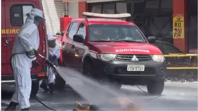 Com a chegada da equipe especializada do Corpo de Bombeiros e expulsão de parte do enxame, a vítima pode ser atendida pelos Bombeiros e Samu, mas ela, infelizmente, não resistiu ao ataque e veio a óbito. (Reprodução/Redes Sociais)
