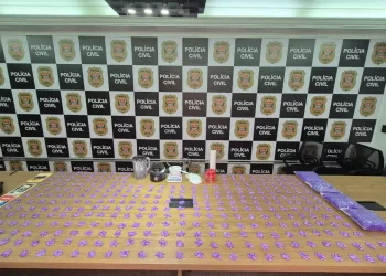 Os policiais encontraram milhares de microtubos com cocaína já prontos para comercialização, porções da droga a granel e diversos materiais utilizados no preparo dos entorpecentes. (Foto: Polícia Civil)