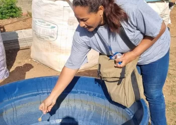 Participam dos mutirões aproximadamente 100 profissionais, entre eles agentes, supervisores, motoristas e coordenadores. (Divulgação)