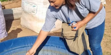 Participam dos mutirões aproximadamente 100 profissionais, entre eles agentes, supervisores, motoristas e coordenadores. (Divulgação)