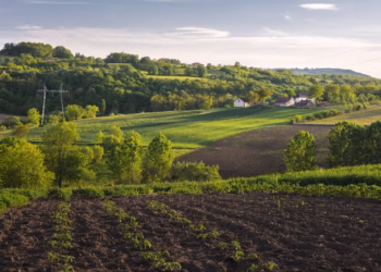 Itapetininga se destaca no cenário nacional e foi selecionada para participar do 1º Encontro Nacional da Rede Colaborativa de Inovações em Atenção Primária à Saúde. (Divulgação)