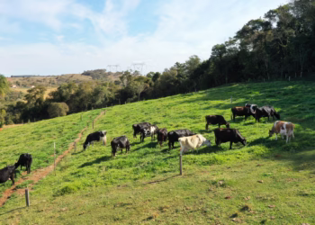 Com mais produtividade e retorno financeiro, a família já investiu na melhoria das instalações e novos implementos, estruturando seu negócio e deixando um legado para as próximas gerações. (Divulgação)