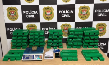 Durante o cumprimento de mandados de busca e apreensão domiciliar, os policiais civis localizaram, em um dos apartamentos investigados, 141 tijolos de maconha ocultados em caixas de papelão. (Divulgação/Polícia Civil)